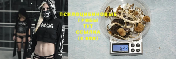 спайс Алексин