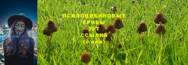 каннабис Алзамай