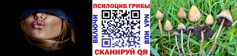 где найти наркотики  Канск  Галлюциногенные грибы Cubensis 